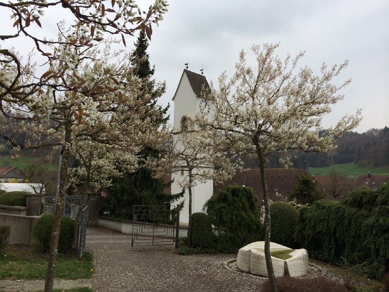 IMG_6142.jpg - Kirchleerau