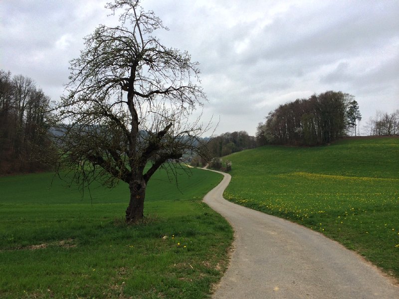 IMG_6143.jpg - Weg nach Staffelbach