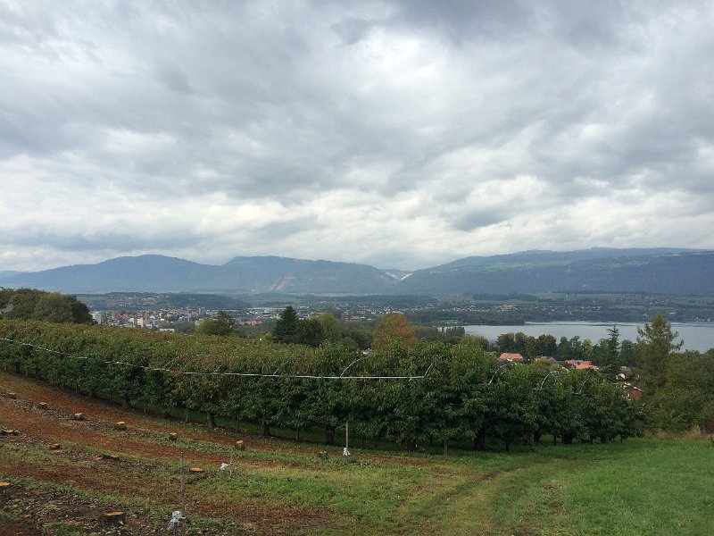 IMG_8096.jpg - Yverdon