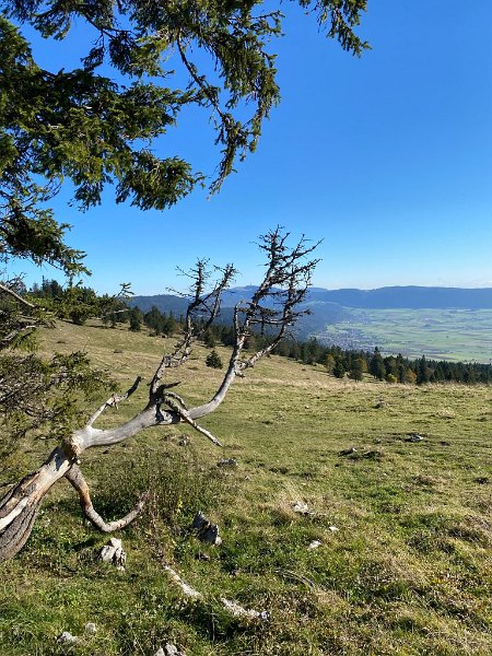 IMG_5096.JPEG - Val de Ruz