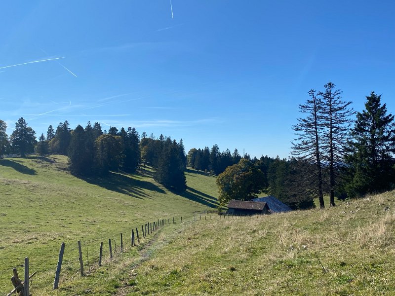 IMG_5122.JPEG - La Racine