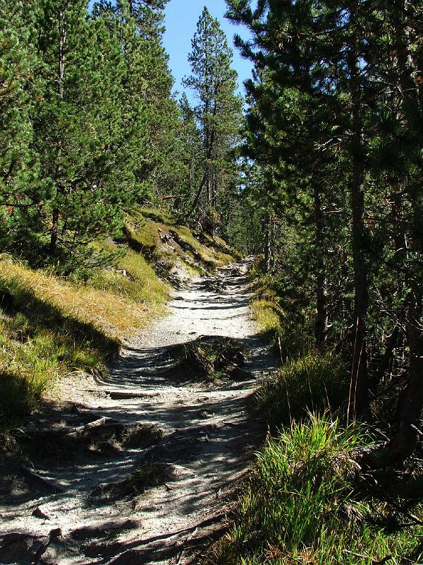 DSCF3197.JPG - Aufstieg nach Champl�nch
