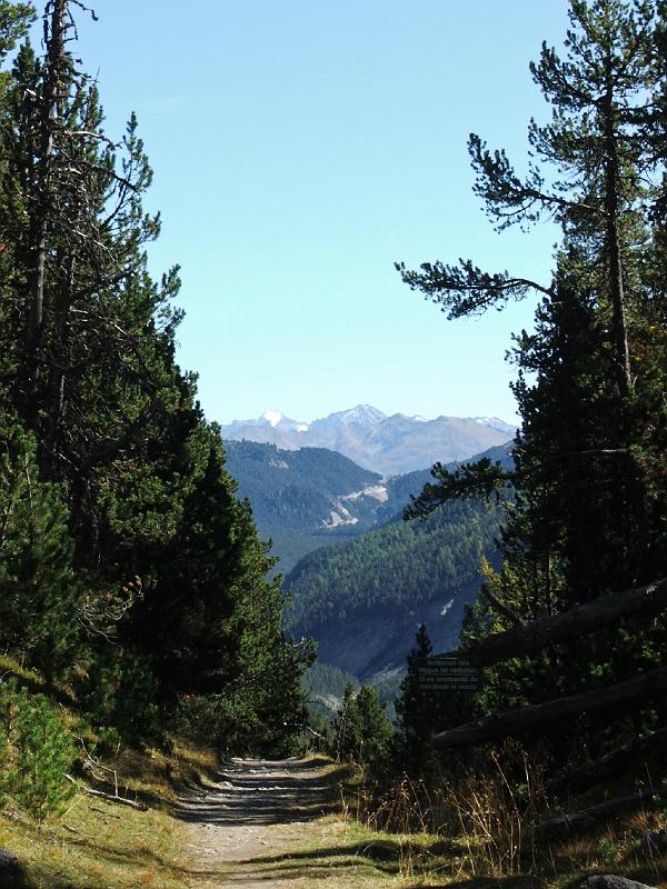 DSCF3206.JPG - Badach�l, Blick zum Ofenpass