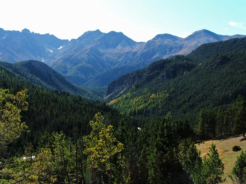 DSCF3226.JPG - Val dal Sp�l