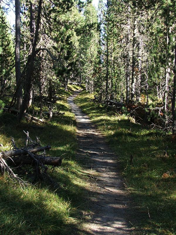 DSCF3250.JPG - Waldpfade auf dem Weg nach Buffalora