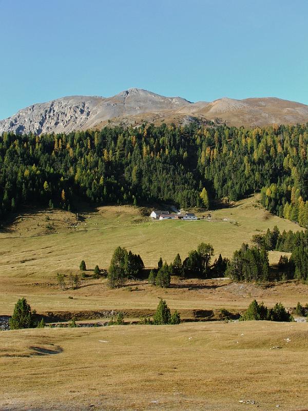 DSCF3275.JPG - Alp Buffalora