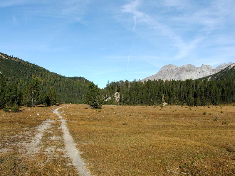 DSCF3277.JPG - Alp Buffalora