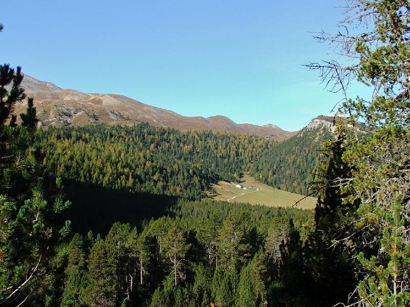DSCF3278.JPG - Alp Buffalora