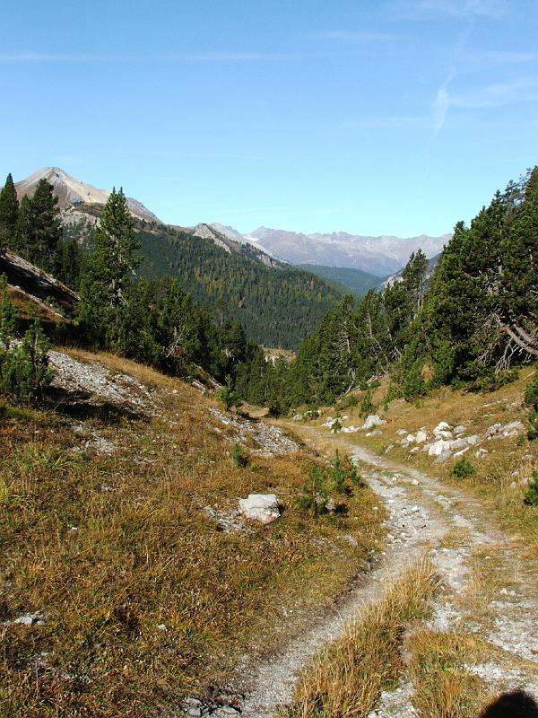 DSCF3279.JPG - Aufstieg zum  Ofenpass