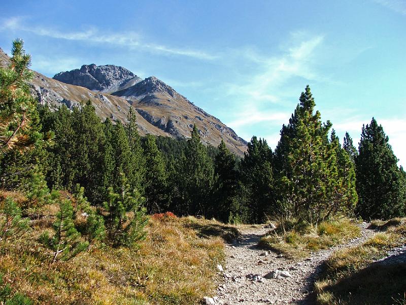DSCF3282.JPG - Ofenpass, Munt da la Bescha