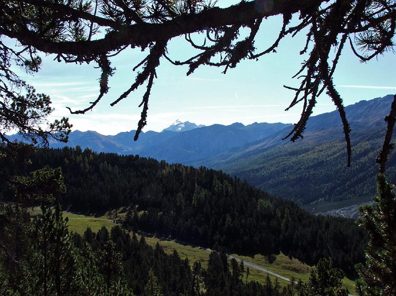 DSCF3289.JPG - Blick ins Val M�stair