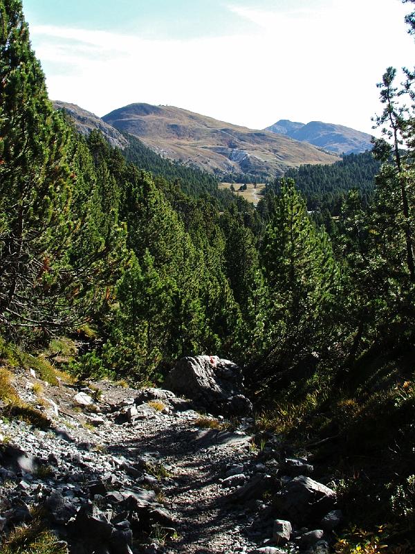 DSCF3293.JPG - Weg nach Alp da Munt