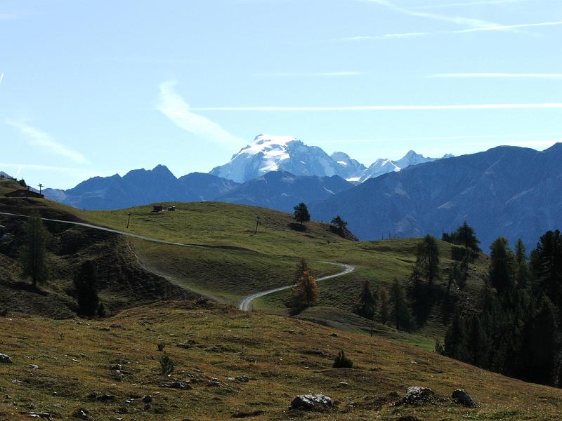 DSCF3306.JPG - Alp da Munt, Ortler