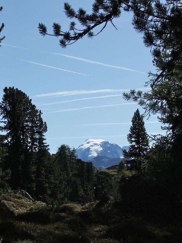 DSCF3312.JPG - Ortler