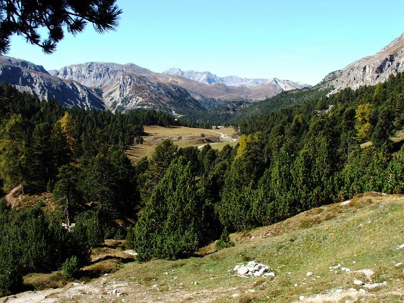 DSCF3320.JPG - An der Baumgrenze, Blick �ber die Plaun da l'Aua zum Ofenpass,