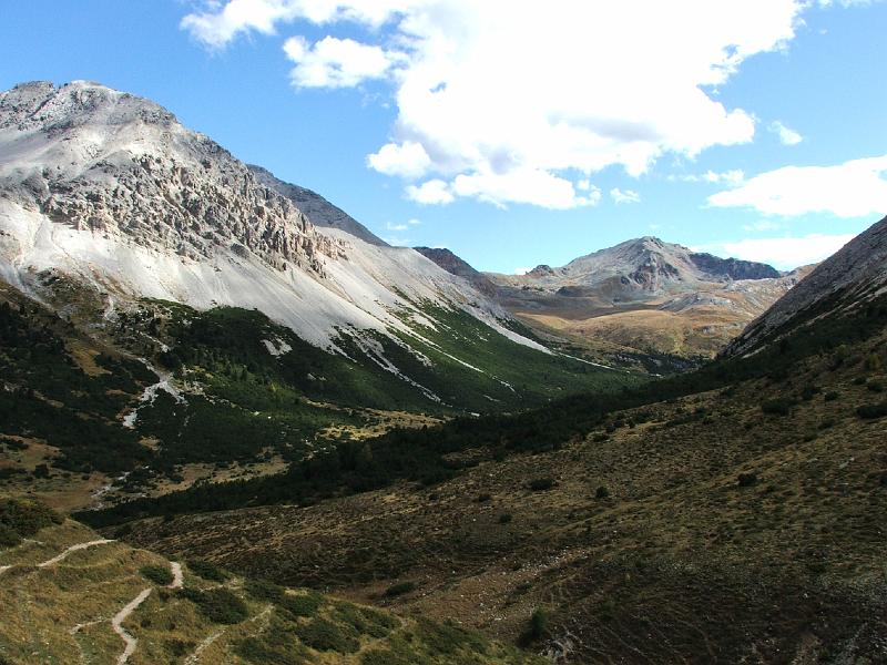DSCF3342.JPG - Alp Astras, Richtung Pass da Costainas