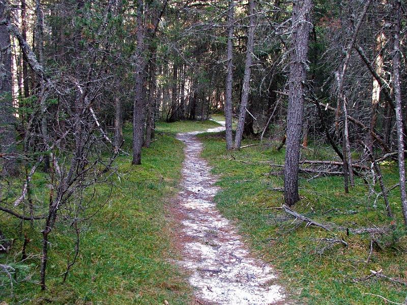 DSCF3385.JPG - Verzauberter Weg im God Pradatsch