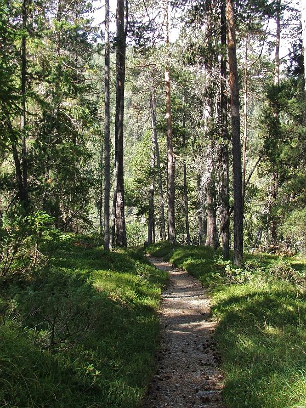 DSCF3402.JPG - Plan da Funtanas, sanfter Abstieg zur Clemgiaschlucht