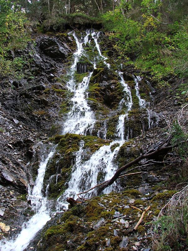 DSCF3416.JPG - Clemgiaschlucht