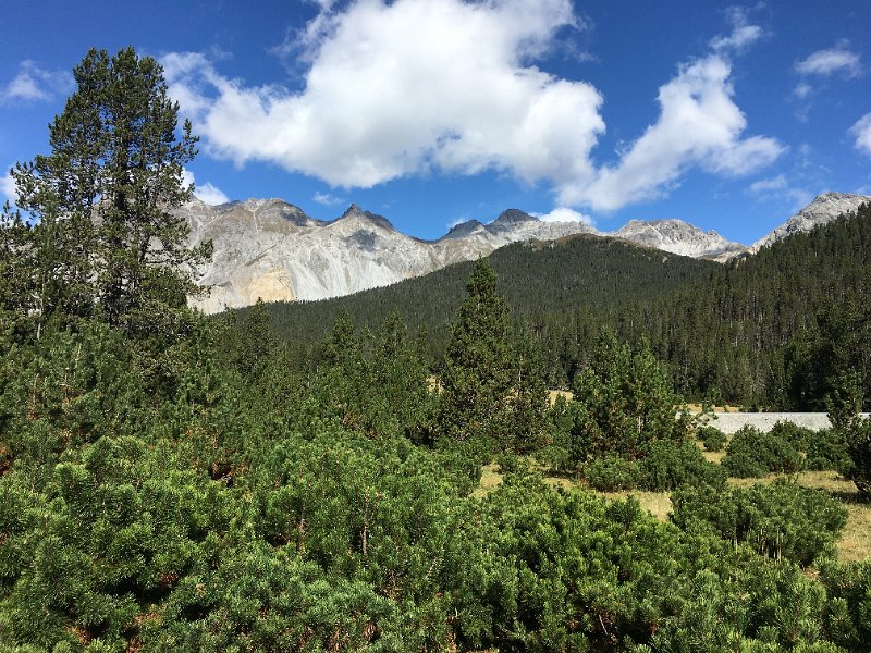 IMG_6477.jpg - Nationalpark