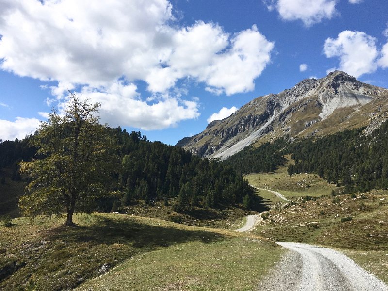 IMG_6516.jpg - Alp da Munt