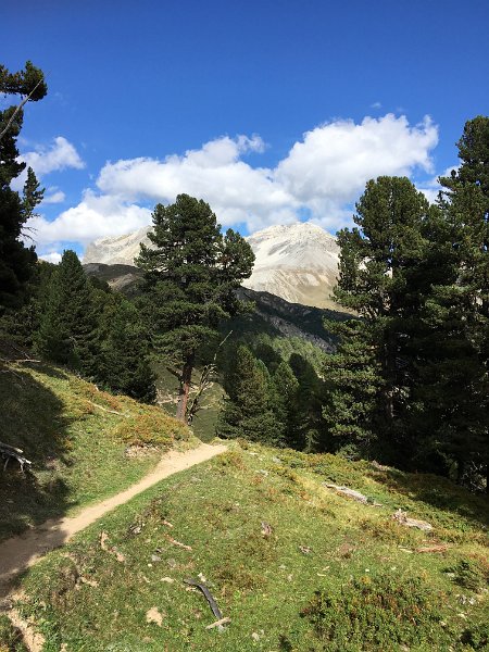 IMG_6522.jpg - Piz Starlex