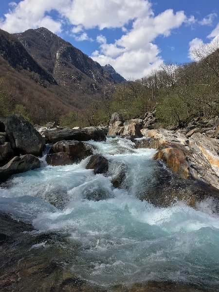 IMG_7991.JPG - Die Verzasca als Wildbach