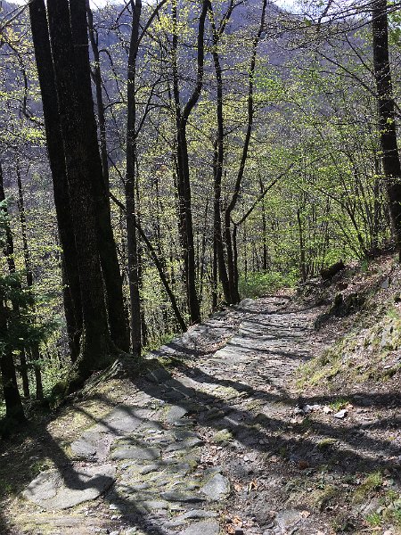 IMG_7843.JPG - Plattenweg im Abstieg