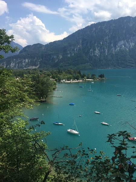 IMG_6082.jpg - Neuhaus