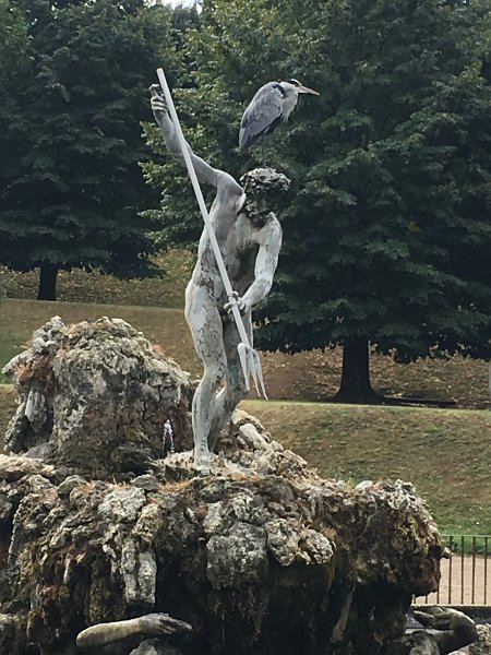 IMG_6621.jpg - Firenze: Boboli