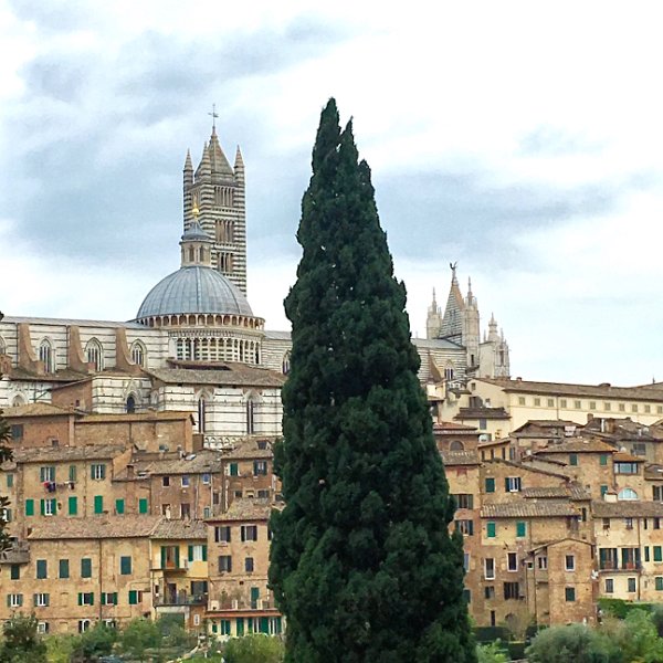 IMG_6843.jpg - Siena