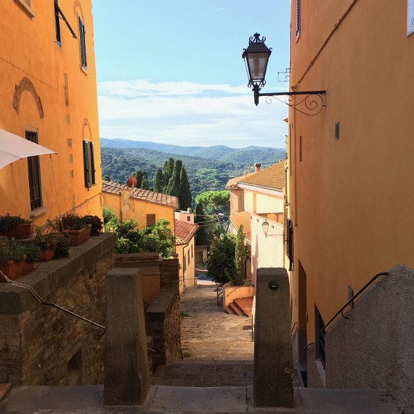 IMG_7118.jpg - Castagneto Carducci