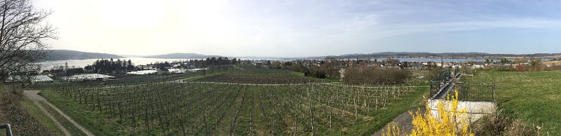 IMG_5295.jpg - Panorama zum Untersee