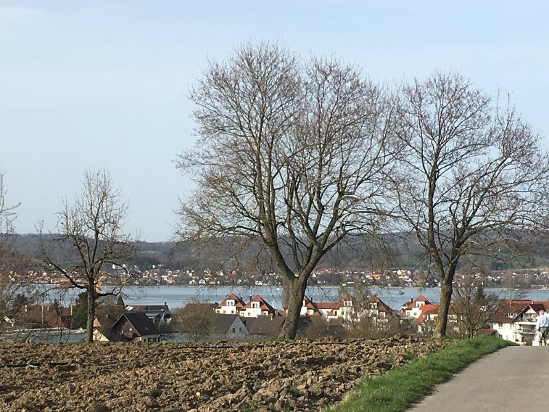 IMG_5298.jpg - Reichenau