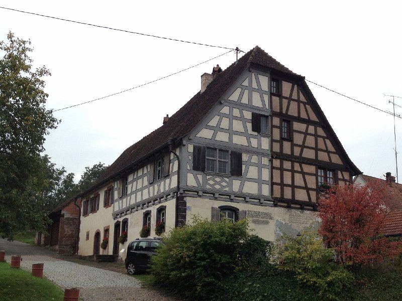 IMG_4681.JPG - In Wimmenau