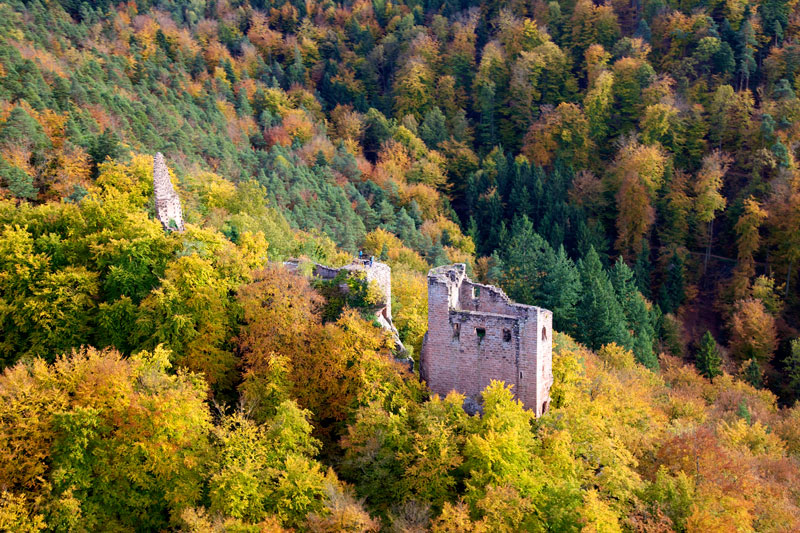 Wasigenstein02.jpg - Wasigenstein - � www.dahner-felsenland.net