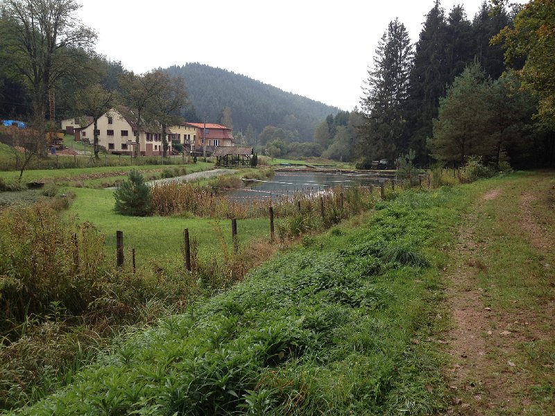 IMG_4617.JPG - Am Hohenfels vorbei hin�ber  nach Philippsbourg