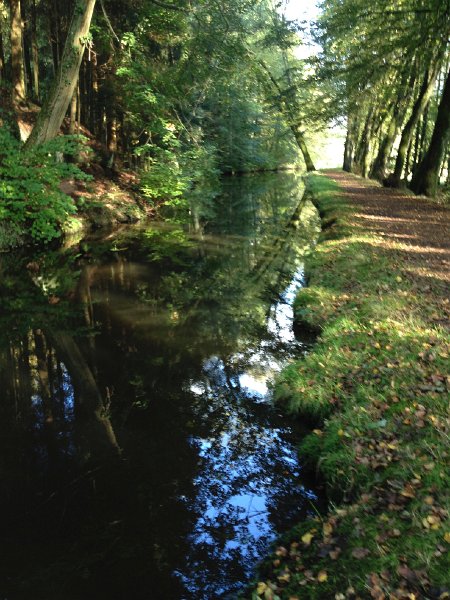 IMG_4645.jpg - Flusslauf bei Baeenthal