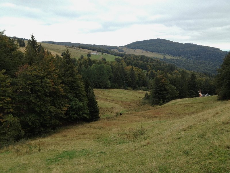 IMG_2310.jpg - Steinlebach, Lauchenkopf