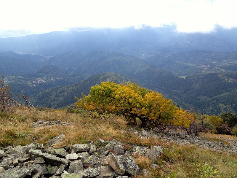 IMG_2328.jpg - Grand Ballon