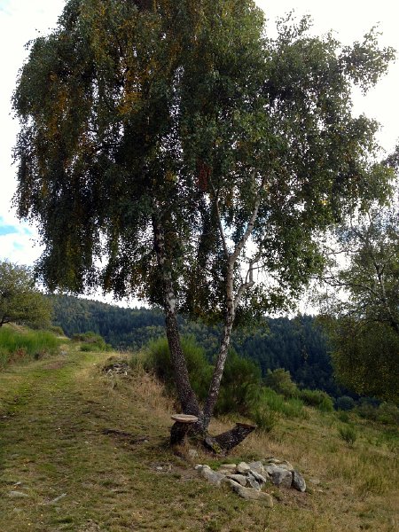IMG_2382.jpg - Oberhalb Goldbach