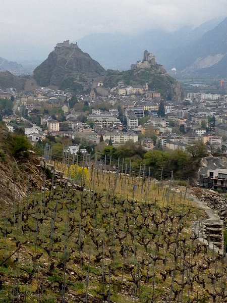 IMG_1062.jpg - Sion 