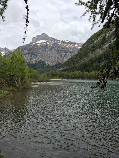 IMG_6495.jpg - Lac de Derborence