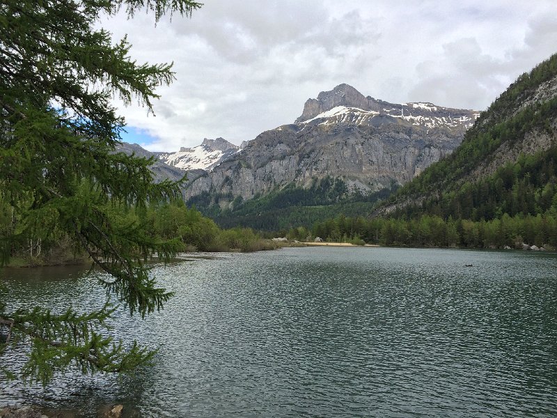 IMG_6498.jpg - Lac de Derborence