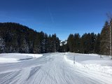 IMG_7454