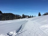 IMG_7455