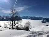 IMG_7461