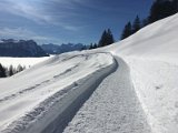 IMG_7476