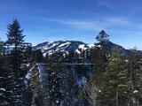 IMG_7503