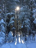 IMG_7504